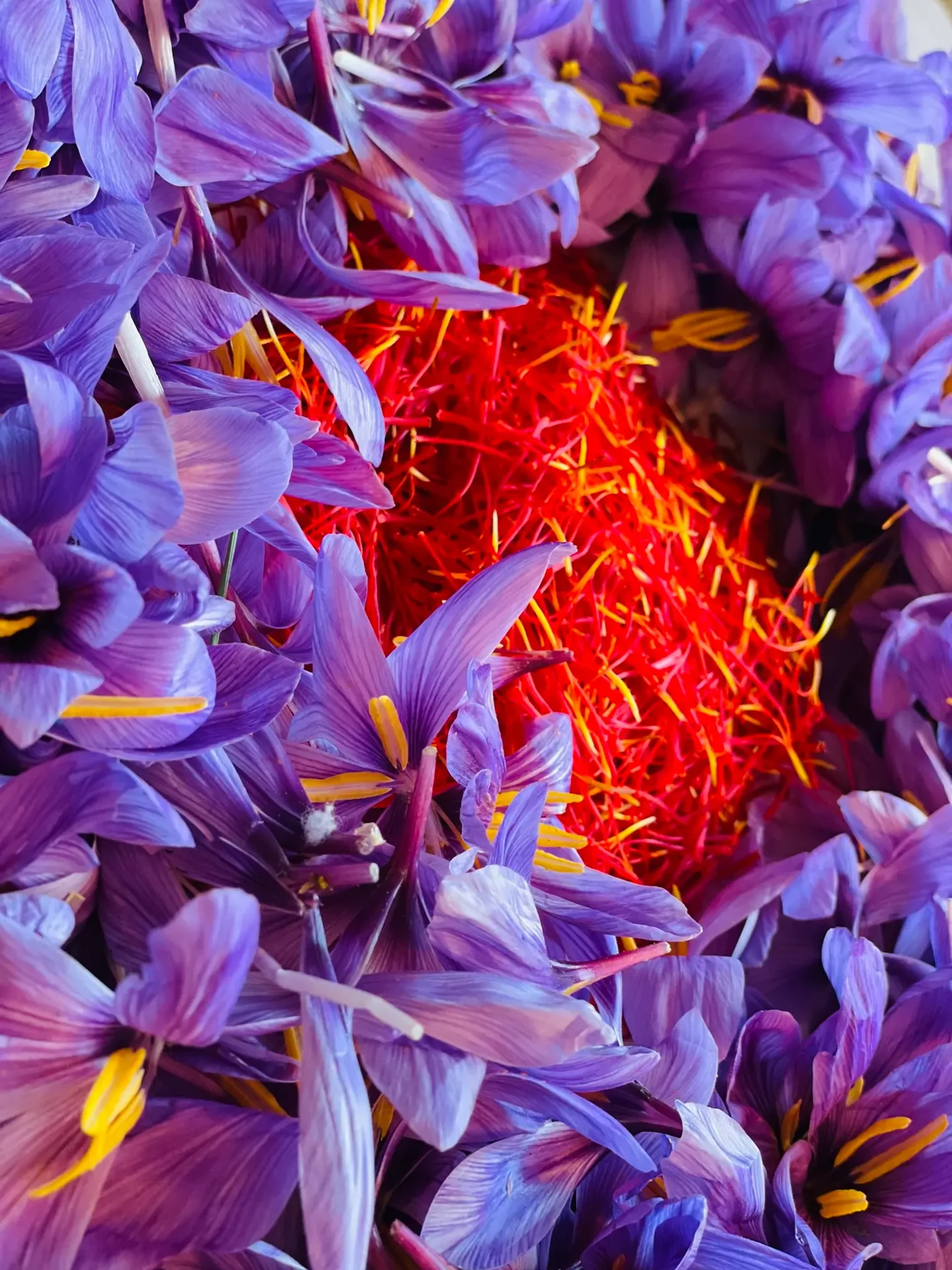 Saffron nest with flowers